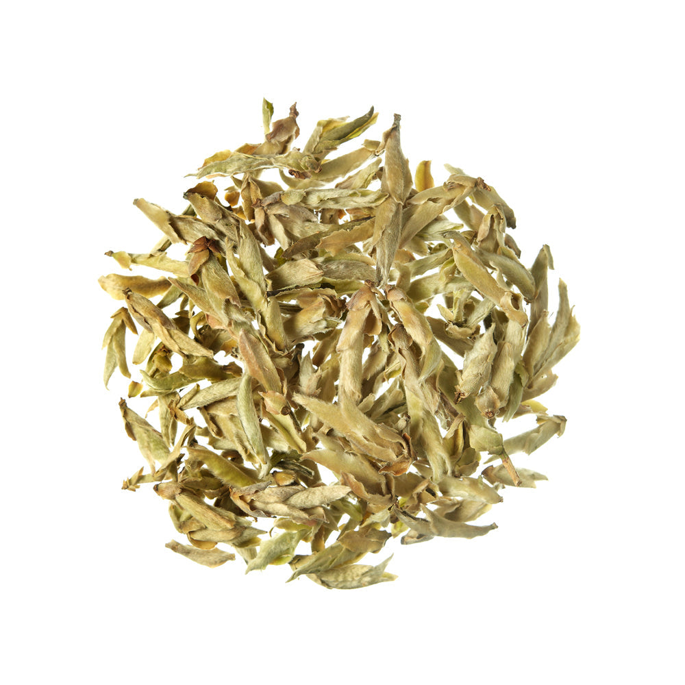 Biała herbata Ya Bao Silver Buds Biała herbata Chiny - 100 g