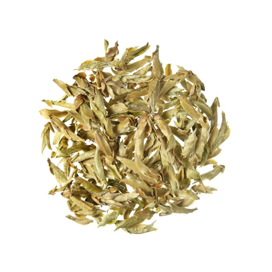 Biała herbata Ya Bao Silver Buds Biała herbata Chiny - 100 g